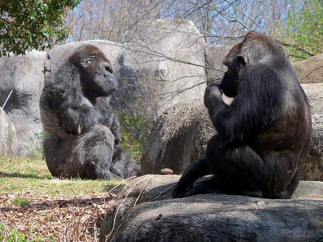 6440500637_2f0421b013_z